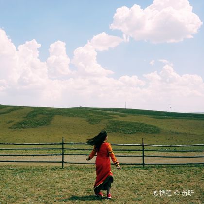 中国内蒙古包头希拉穆仁草原一日游