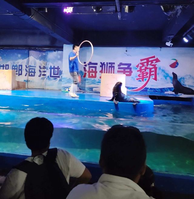 邯郸·海洋世界旅行图片 1