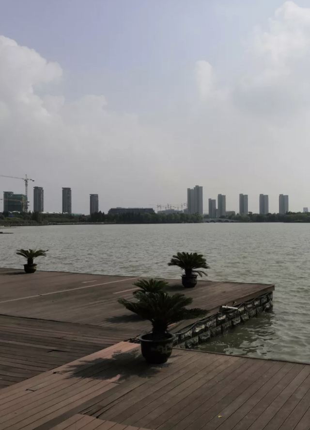 天镜湖公园旅行图片 4