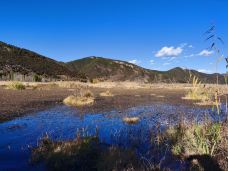 草海-盐源-自由行走的兰花
