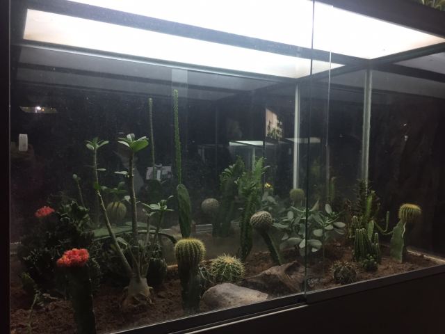 Shanghai Science and Technology Museum