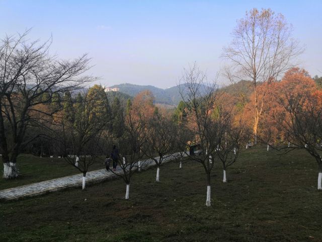 贵阳市森林公园旅行图片 3