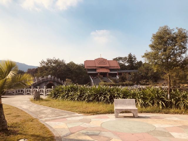 大屏嶂森林公园旅行图片 1
