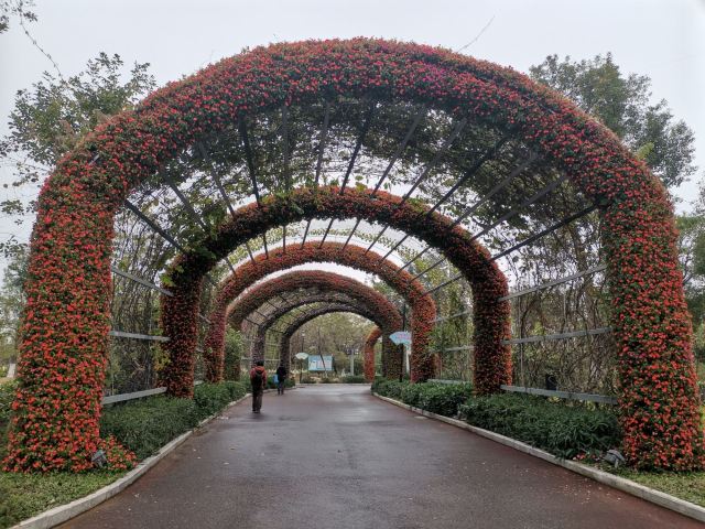 华阳湖国家湿地公园旅行图片 1