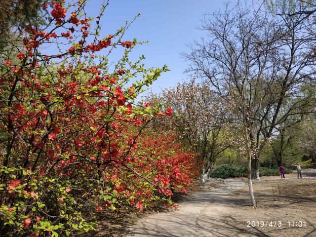 四得公园旅行图片 3