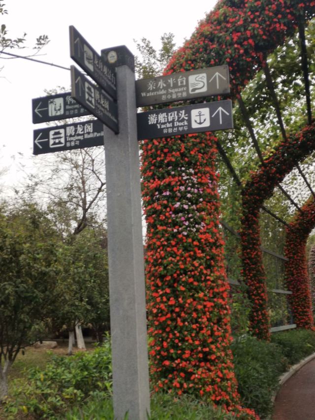 华阳湖国家湿地公园旅行图片 5