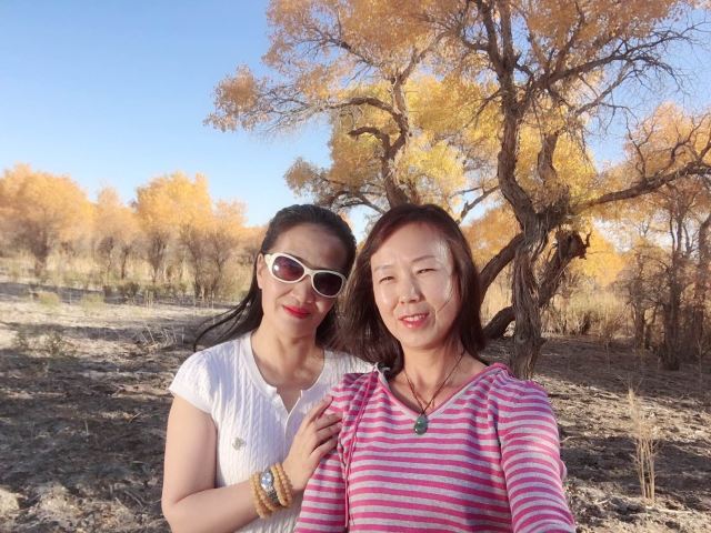 胡杨林旅行图片 1