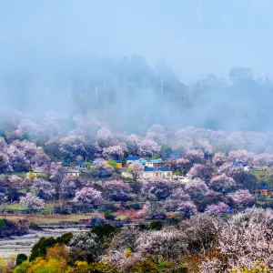 Nyingchi