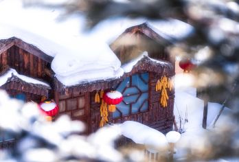 中国雪乡一日游【⑥人｜15人｜大巴团｜大秃顶子山+冰雪画廊【[度假优选][牡丹江雪乡纯玩旅游]游大秃顶子山&冰雪画廊&我们是游览模式随走随停】