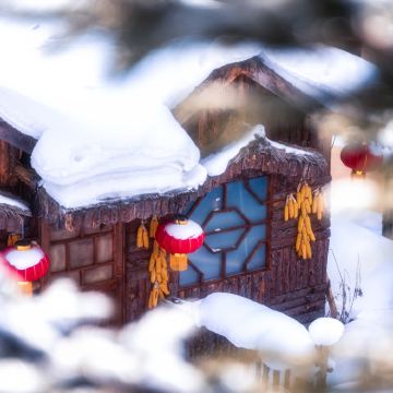 中国雪乡一日游【⑥人｜大巴团｜驯鹿园+畅玩冰雪乐园