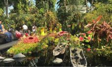 云雾林-新加坡-超级ctt