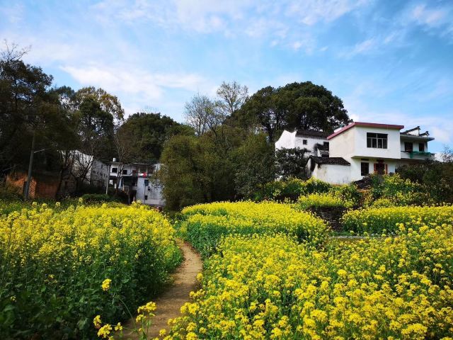 石潭村旅行图片 1
