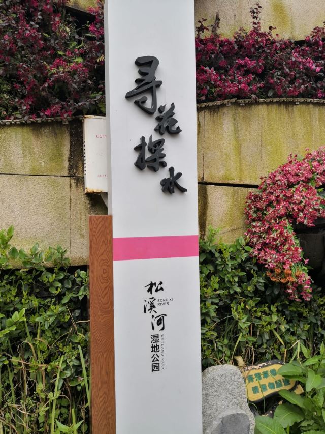 松溪河湿地公园旅行图片 1