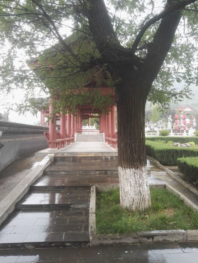 隋仁寿宫·唐九成宫1号殿遗址旅行图片 5