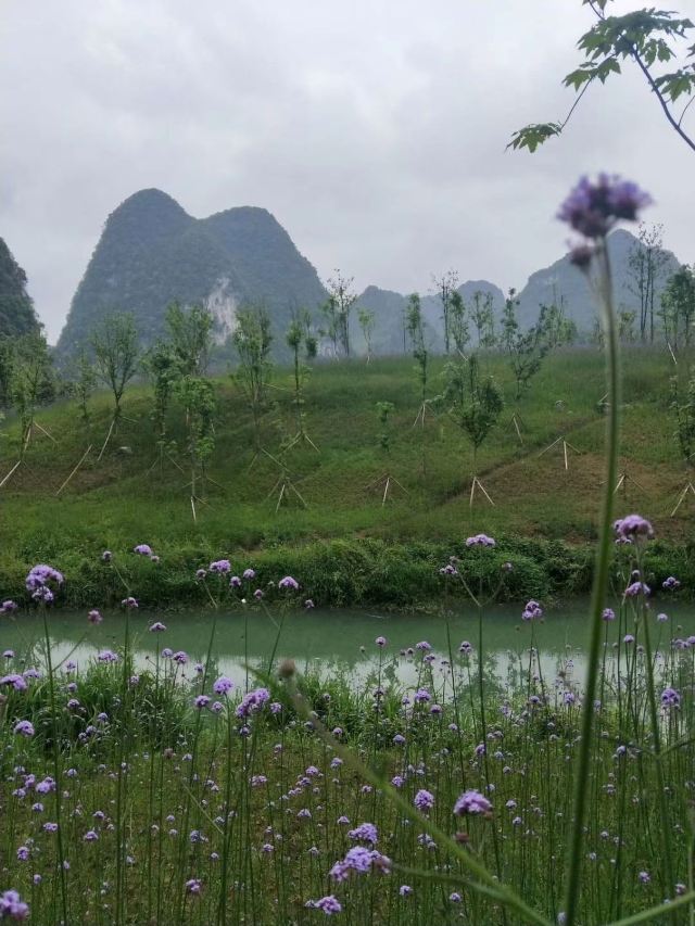 神泉谷景区旅行图片 3