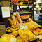 Levian, Shinshu Ueda
