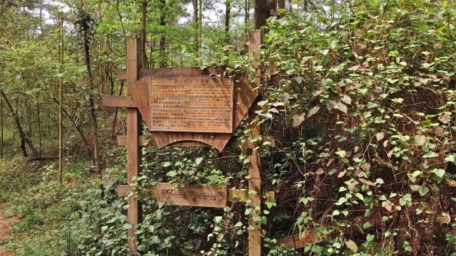 长坡岭国家森林公园旅行图片 3