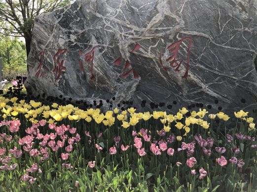 杨家河公园