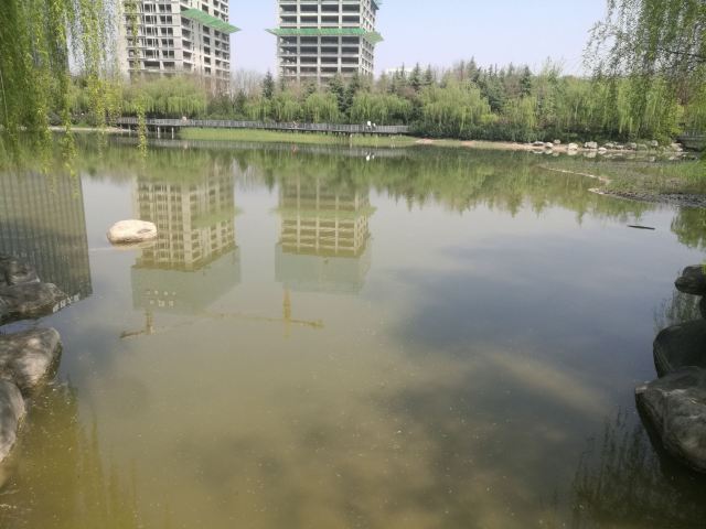 航天城中湖公园旅行图片 11