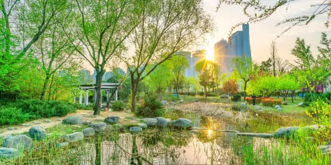 鄭東新區濕地公園
