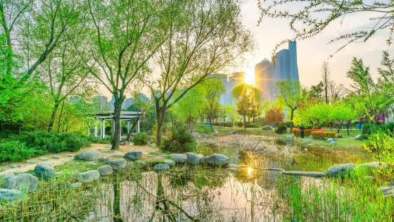 鄭東新區濕地公園