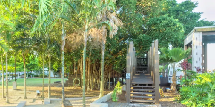 無花果樹遊樂園