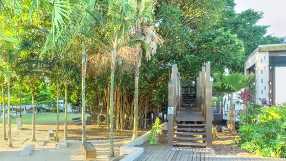 無花果樹遊樂園