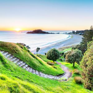 Tauranga