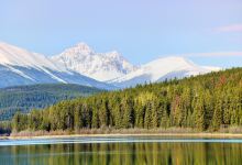 Roche Lake景点图片