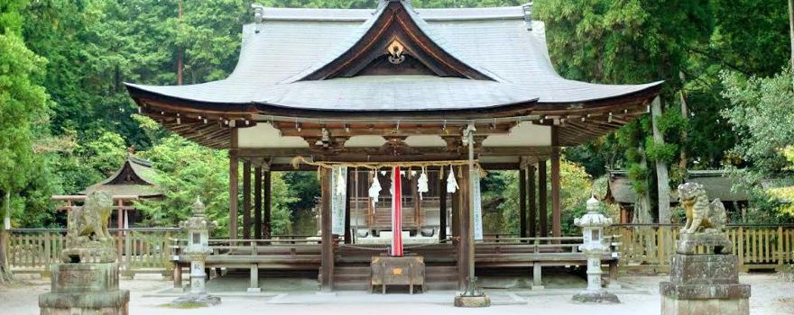 野洲市旅游攻略 4月野洲市 Yasu 自助游 周边自驾 出游 自由行 游玩攻略 携程攻略