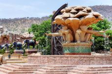 时光之桥-太阳城-doris圈圈