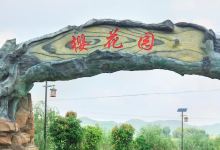 那贵樱花园景点图片