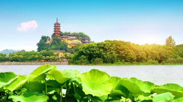 shutterstock_1137476369