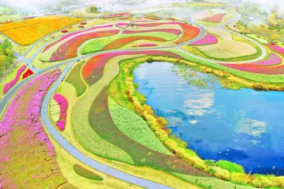 径山花海