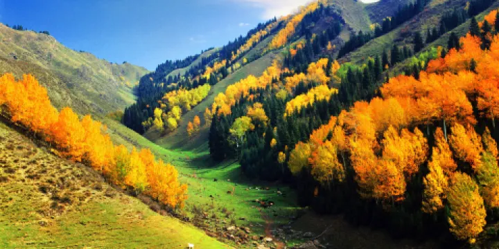 天山天池風景區-白楊溝