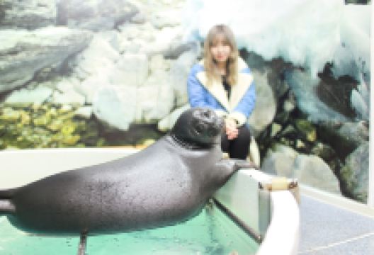 Nerpinary水族馆景点图片