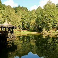 阿里山国家风景区-嘉义县-pingping321