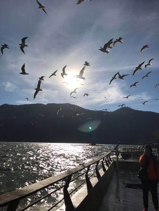 2019年1月云南南部自驾游-昆明-玉溪-西双版纳-临沧-腾冲