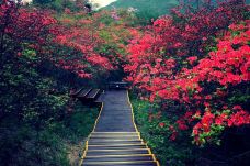 大围山国家森林公园-浏阳-YoYo_5O0Q1H0U