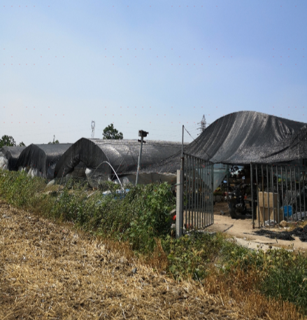 花满汐法师多肉基地