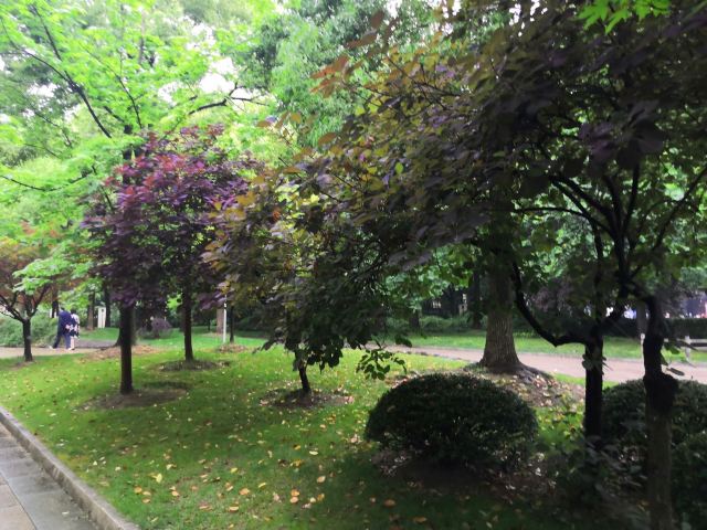 东湖公园旅行图片 2