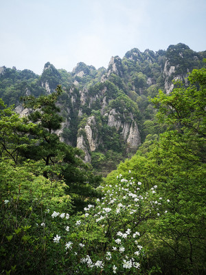 小众旅游景点~蓝田王顺山-玉山蓝河风景区
