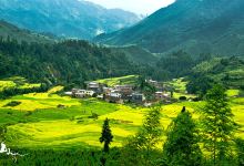 欧家梯田景点图片