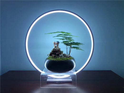 鸟巢生态科普博览馆