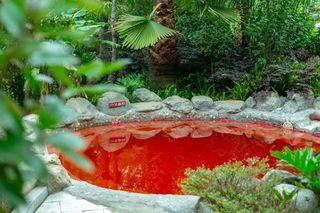 周末家庭、情侣游，5月30日昆明市内的“森林温泉”，即将挤爆