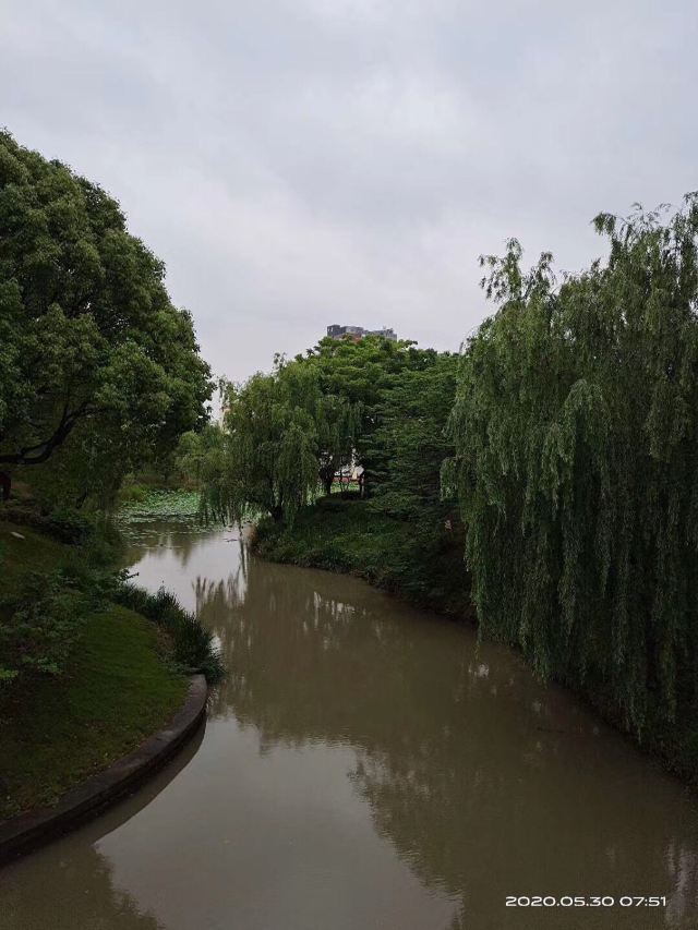 思贤公园旅行图片 4