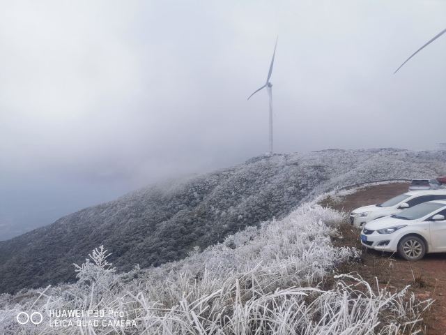 屏山悬索玻璃桥旅行图片 3