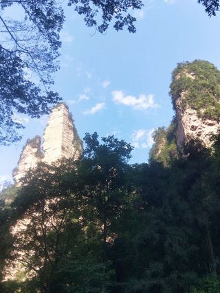 我的心动留在了张家界