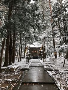 Chozen-ji Temple-德岛-Todemmy