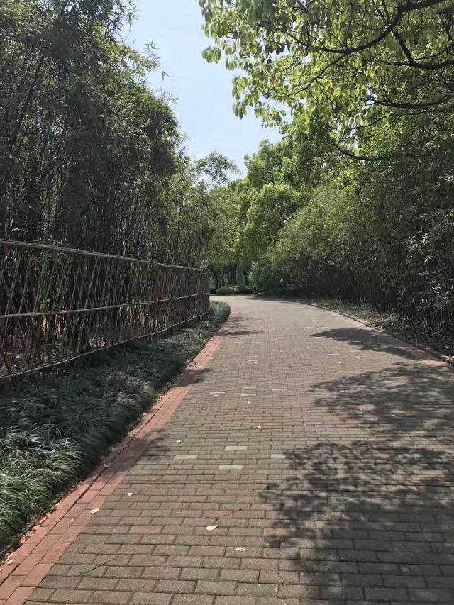 思贤公园旅行图片 3